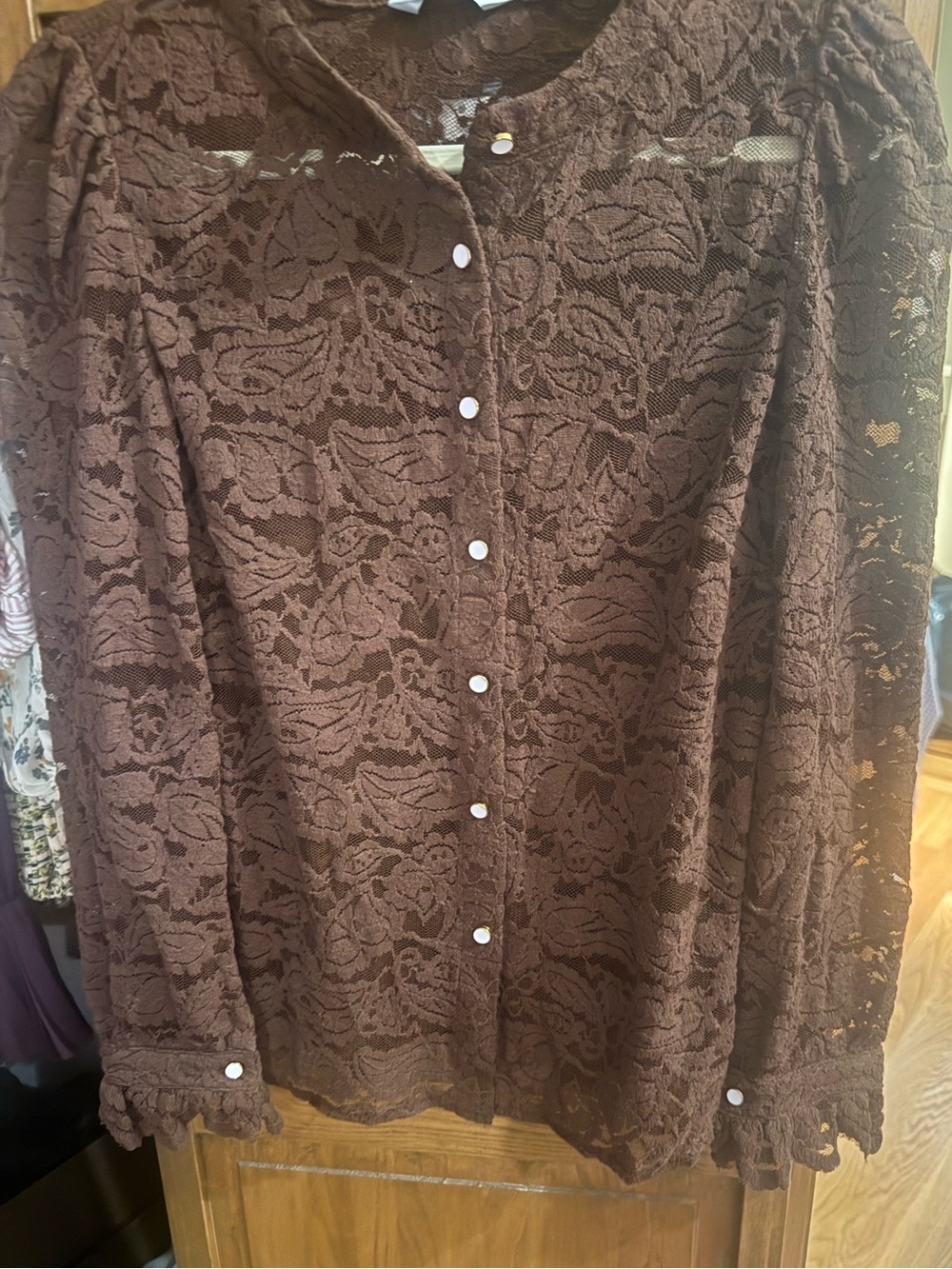 Women's Brown Lace Button-Front Blouse